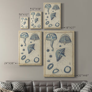 Lamarck Medusa I - Canvas Art Print