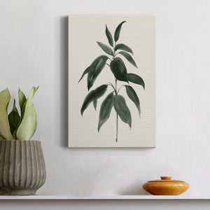 Soft Greenery II - Canvas Art Print