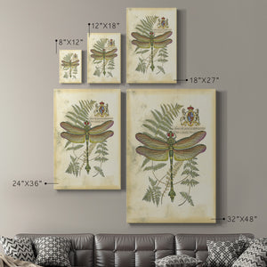 Regal Dragonfly III (PP)  - Canvas Art Print