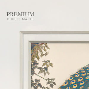Golden Peacock III Premium Framed Print Double Matboard