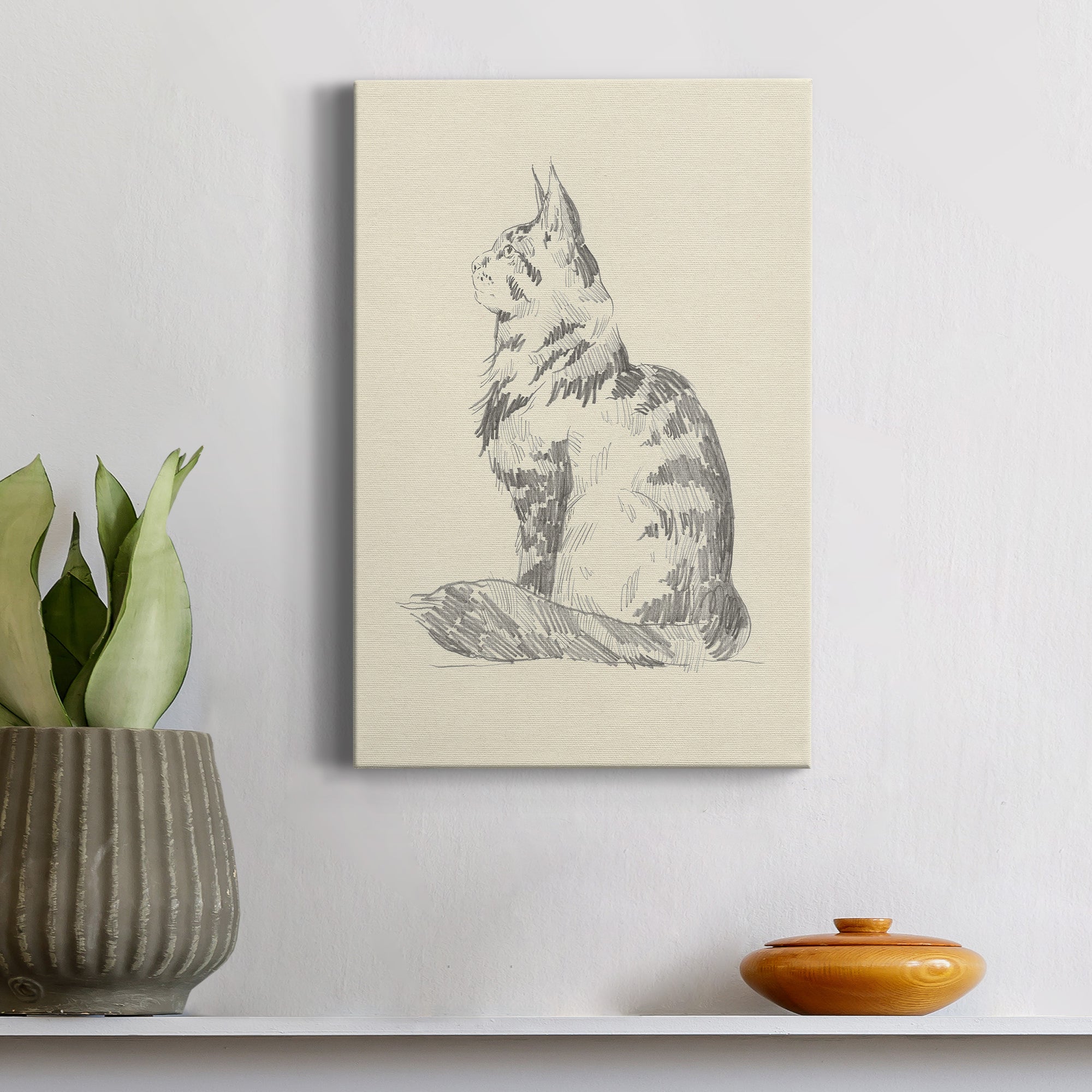 House Cat II Premium Gallery Wrapped Canvas - Ready to Hang