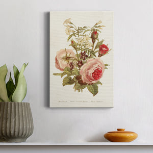 Antique Floral Bouquet III Premium Gallery Wrapped Canvas - Ready to Hang