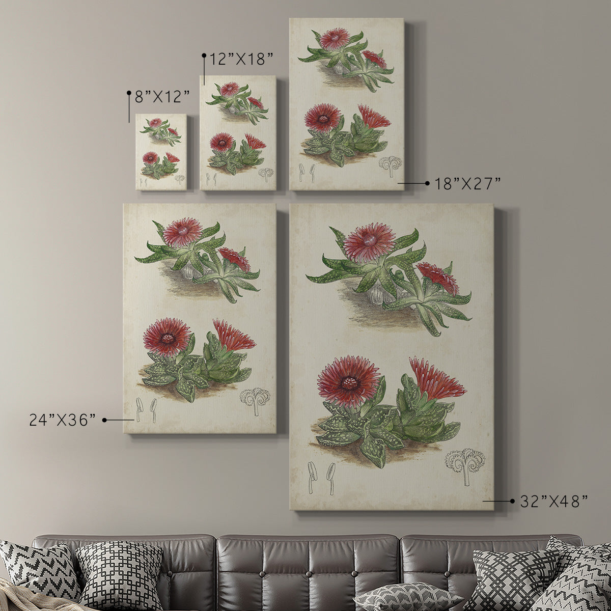 Antique Cactus V Premium Gallery Wrapped Canvas - Ready to Hang