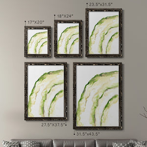 Lichen Halo I - Barnwood Framed Canvas Set