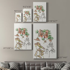 Begonia Study Premium Gallery Wrapped Canvas - Ready to Hang