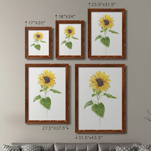 Sunflower I   - Premium Framed Canvas 2 Piece Set - Ready to Hang