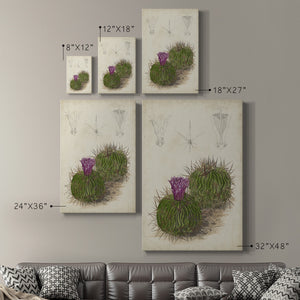 Antique Cactus II Premium Gallery Wrapped Canvas - Ready to Hang