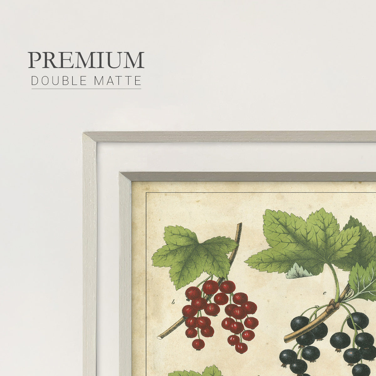 Kitchen Fruits III Premium Framed Print Double Matboard