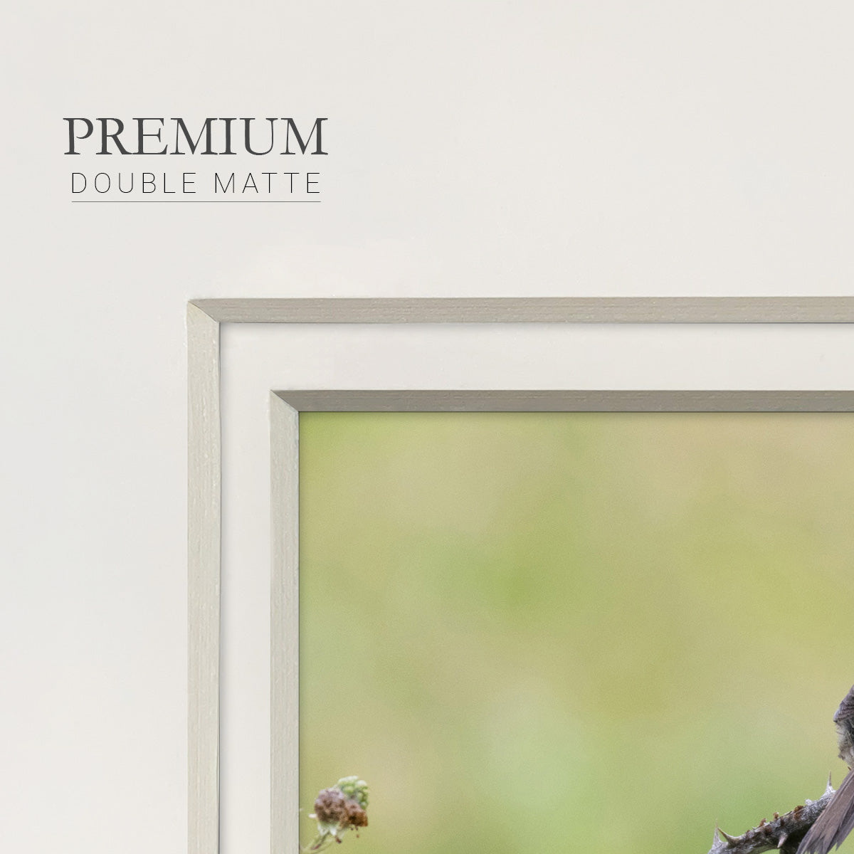 Resting Sparrow Premium Framed Print Double Matboard