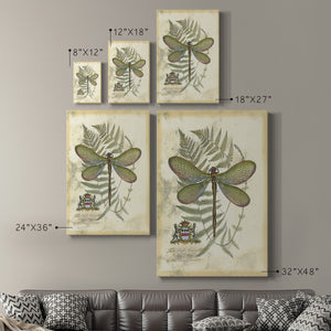 Regal Dragonfly II (PP)  - Canvas Art Print