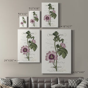 Flower Garden Varietals IV Premium Gallery Wrapped Canvas - Ready to Hang