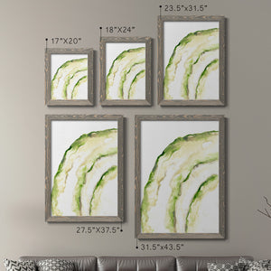Lichen Halo I - Barnwood Framed Canvas Set