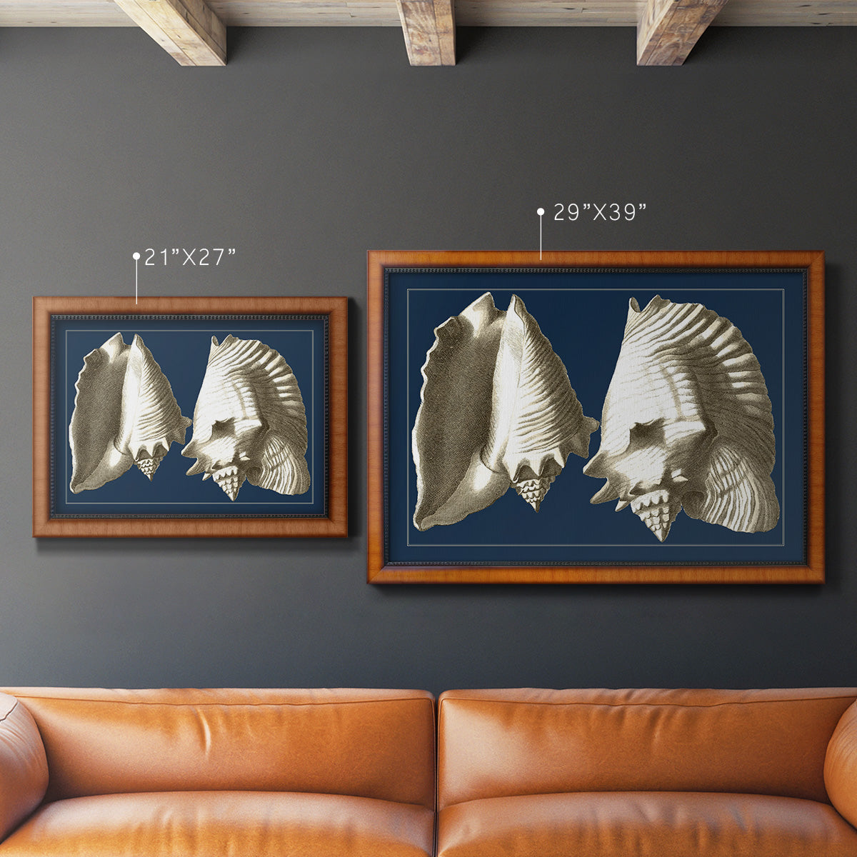 Conch Shells on Navy I Premium Framed Canvas- Ready to Hang