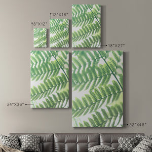 UA Fern Glow III Premium Gallery Wrapped Canvas - Ready to Hang