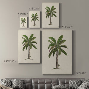 UA CH British Palms II Premium Gallery Wrapped Canvas - Ready to Hang