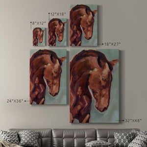 Paint by Number Horse II - Canvas Art Print