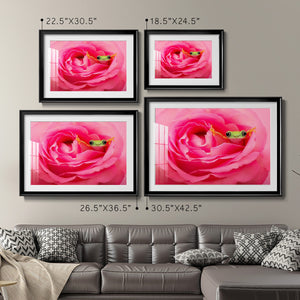 Hanging On VIII - Modern Framed Art Print