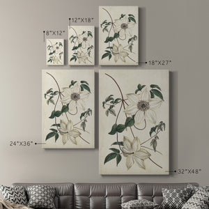 Ivory Garden II Premium Gallery Wrapped Canvas - Ready to Hang