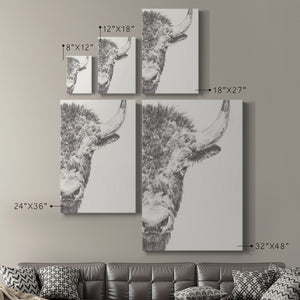 Graphite Bison Portrait II - Canvas Art Print
