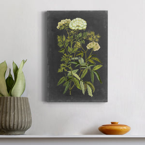 Bookplate Floral I Premium Gallery Wrapped Canvas - Ready to Hang