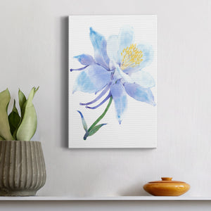 Columbine Bloom I Premium Gallery Wrapped Canvas - Ready to Hang