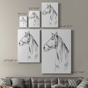 Bridle Portraits I - Canvas Art Print