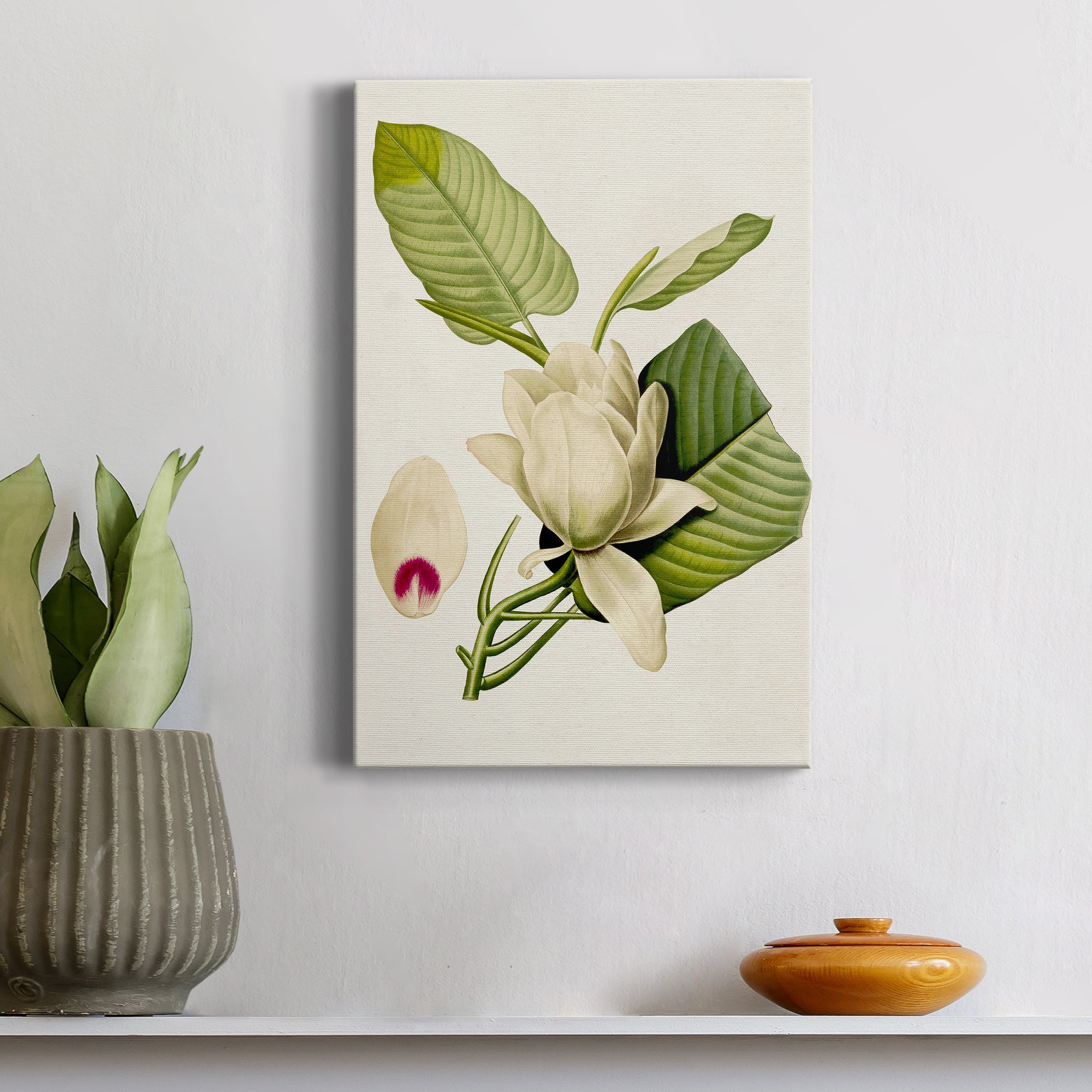 Magnolia Flowers II Premium Gallery Wrapped Canvas - Ready to Hang