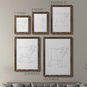 Limousin Cattle I - Barnwood Framed Canvas Set