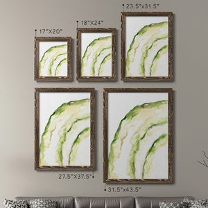Lichen Halo I - Barnwood Framed Canvas Set