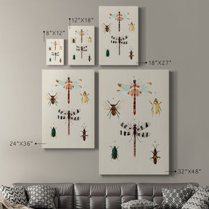 Insect Varieties II - Canvas Art Print