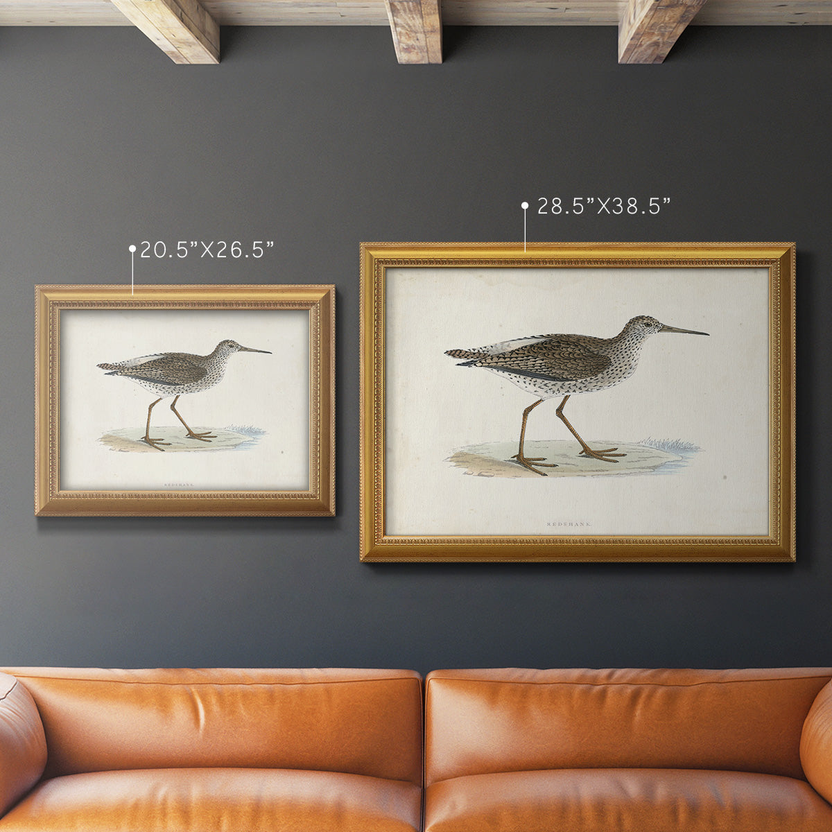 Morris Sandpipers V Premium Framed Canvas- Ready to Hang