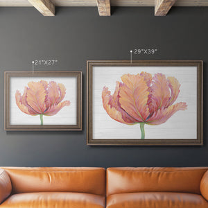 Single Pink Bloom I Premium Framed Canvas- Ready to Hang