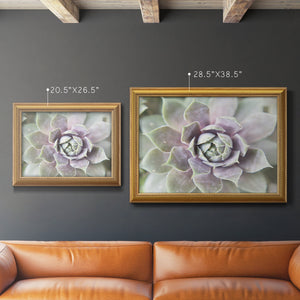 Succulent Glow II Premium Framed Canvas- Ready to Hang