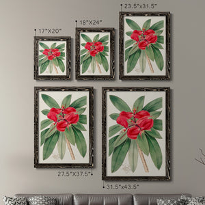 Flora of the Tropics III - Premium Framed Canvas 2 Piece Set - Ready to Hang