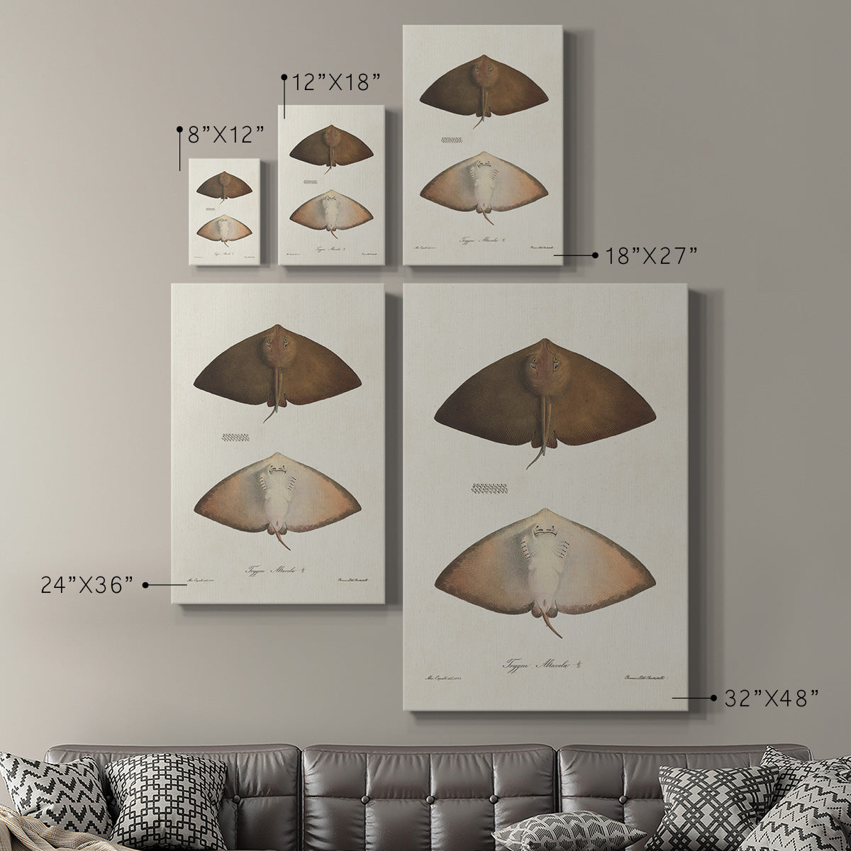 Antique Rays II Premium Gallery Wrapped Canvas - Ready to Hang