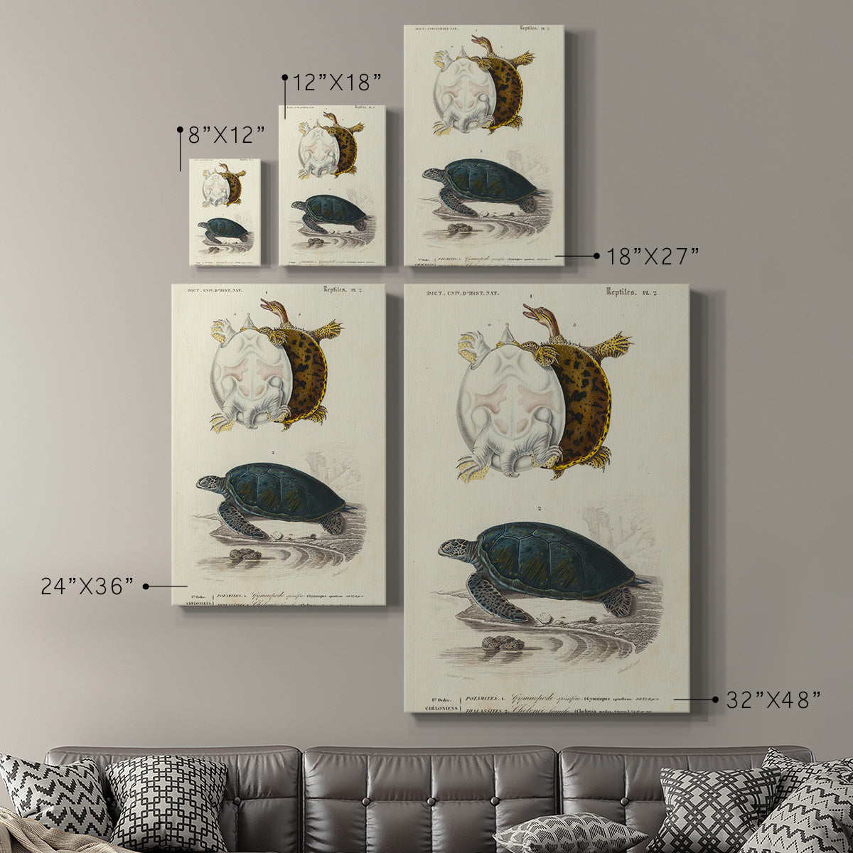 Antique Turtle Duo I Premium Gallery Wrapped Canvas - Ready to Hang