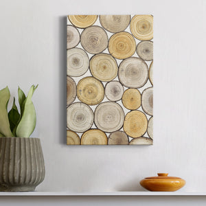Tree Ring Study II Premium Gallery Wrapped Canvas - Ready to Hang