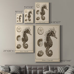 Seahorse Study I - Canvas Art Print