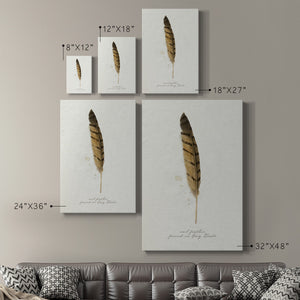 Found Feather III - Canvas Art Print