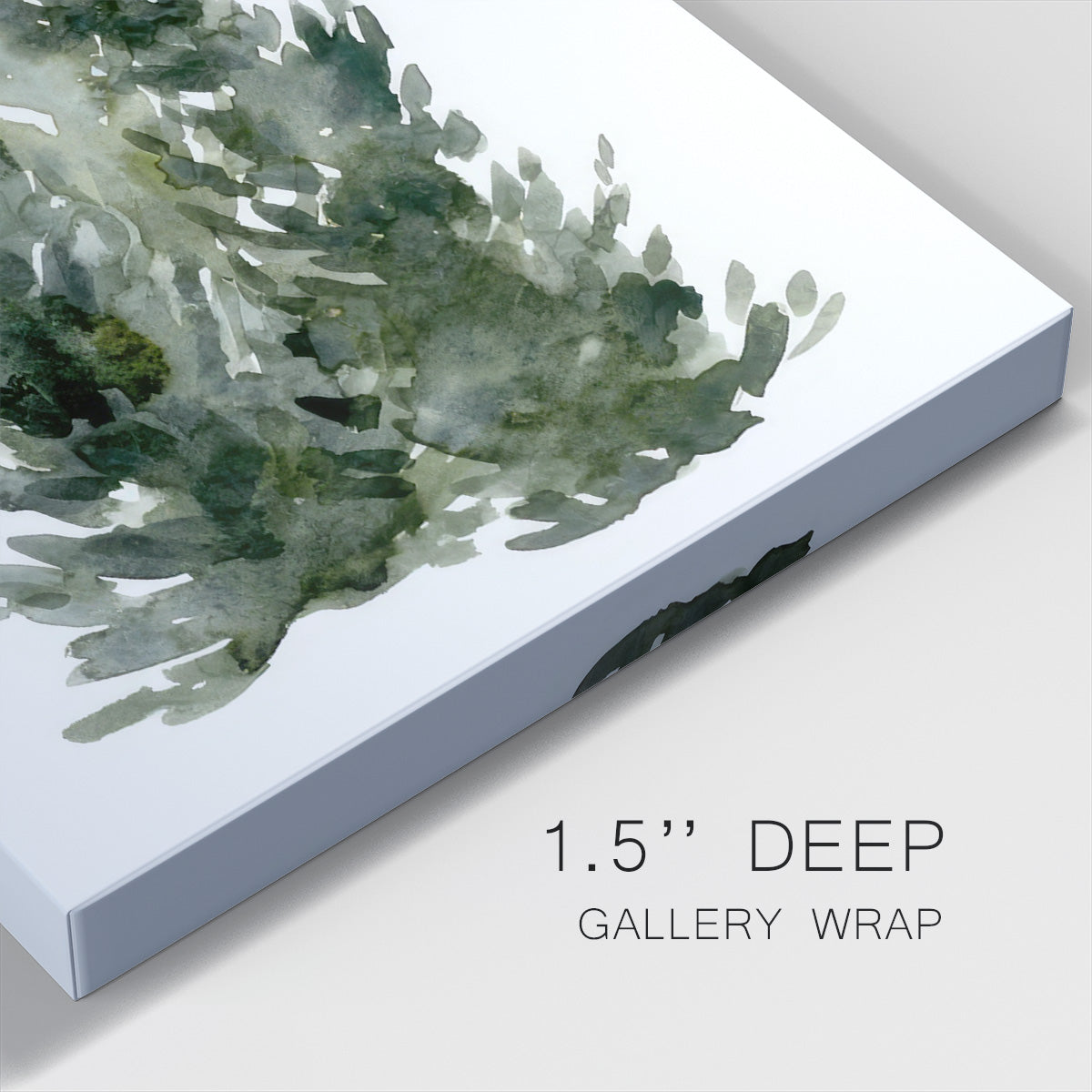 Simple Evergreens I - Gallery Wrapped Canvas