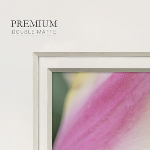 Delicate Premium Framed Print Double Matboard