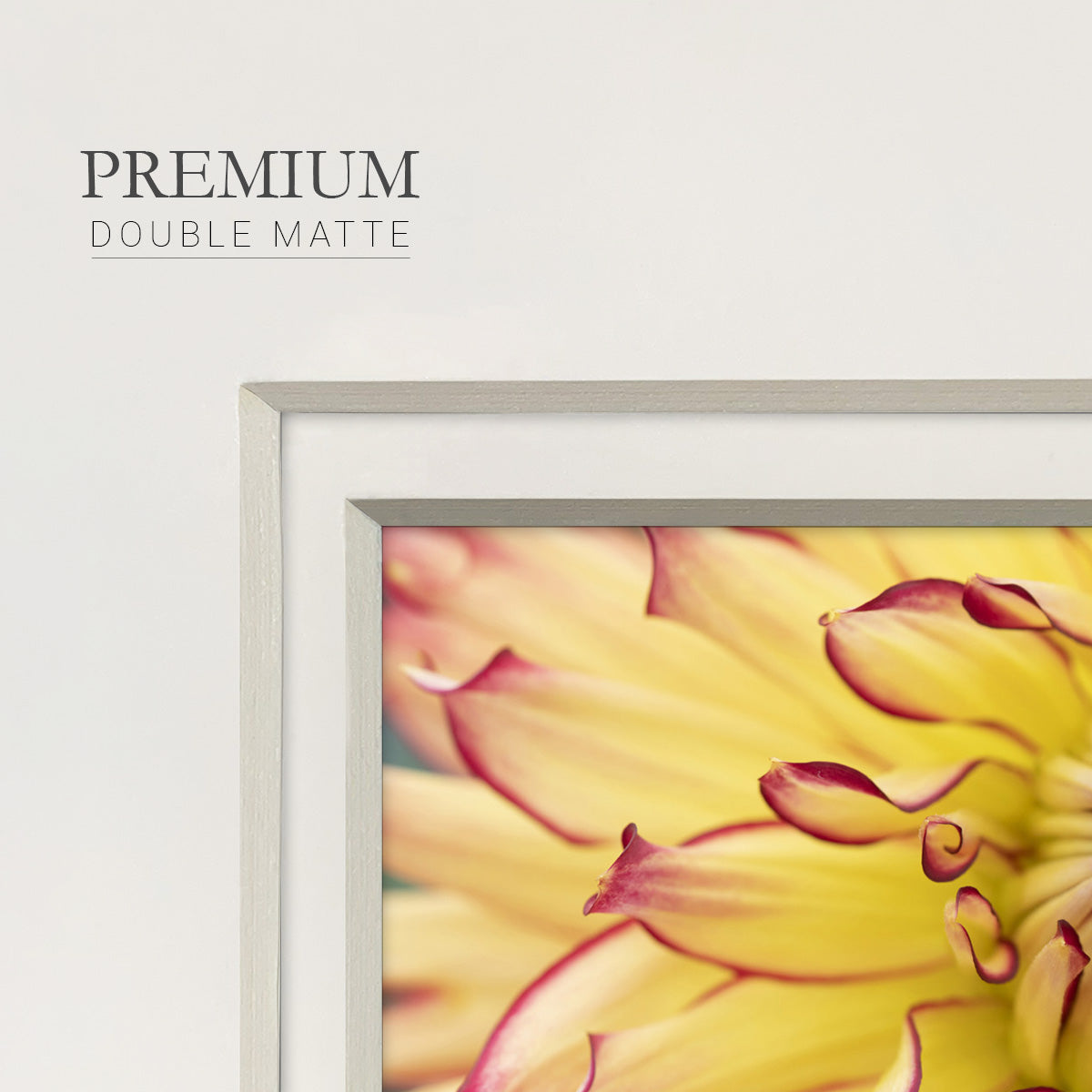 Blooms II Premium Framed Print Double Matboard