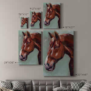 Paint by Number Horse I - Canvas Art Print