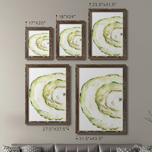 Lichen Halo V - Barnwood Framed Canvas Set