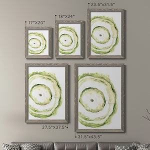 Lichen Halo III - Barnwood Framed Canvas Set