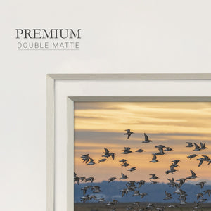 Sunset Flight Premium Framed Print Double Matboard