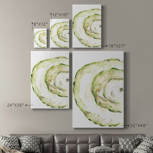 Lichen Halo V - Canvas Art Print