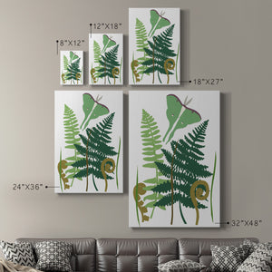 Fern Fantasy Garden I Premium Gallery Wrapped Canvas - Ready to Hang