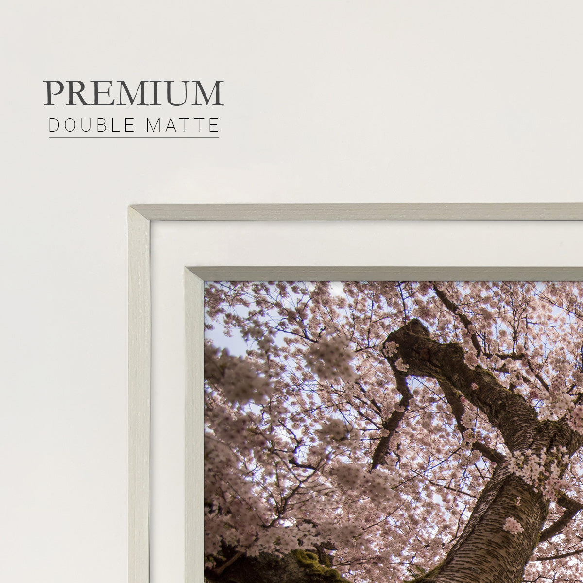 Spring's Arrival- Premium Framed Print Double Matboard