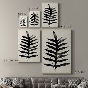 Fern Silhouette III Premium Gallery Wrapped Canvas - Ready to Hang